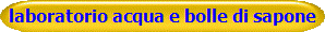 laboratorio acqua e bolle di sapone