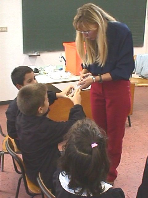 ciclo 1.jpg (48328 byte)